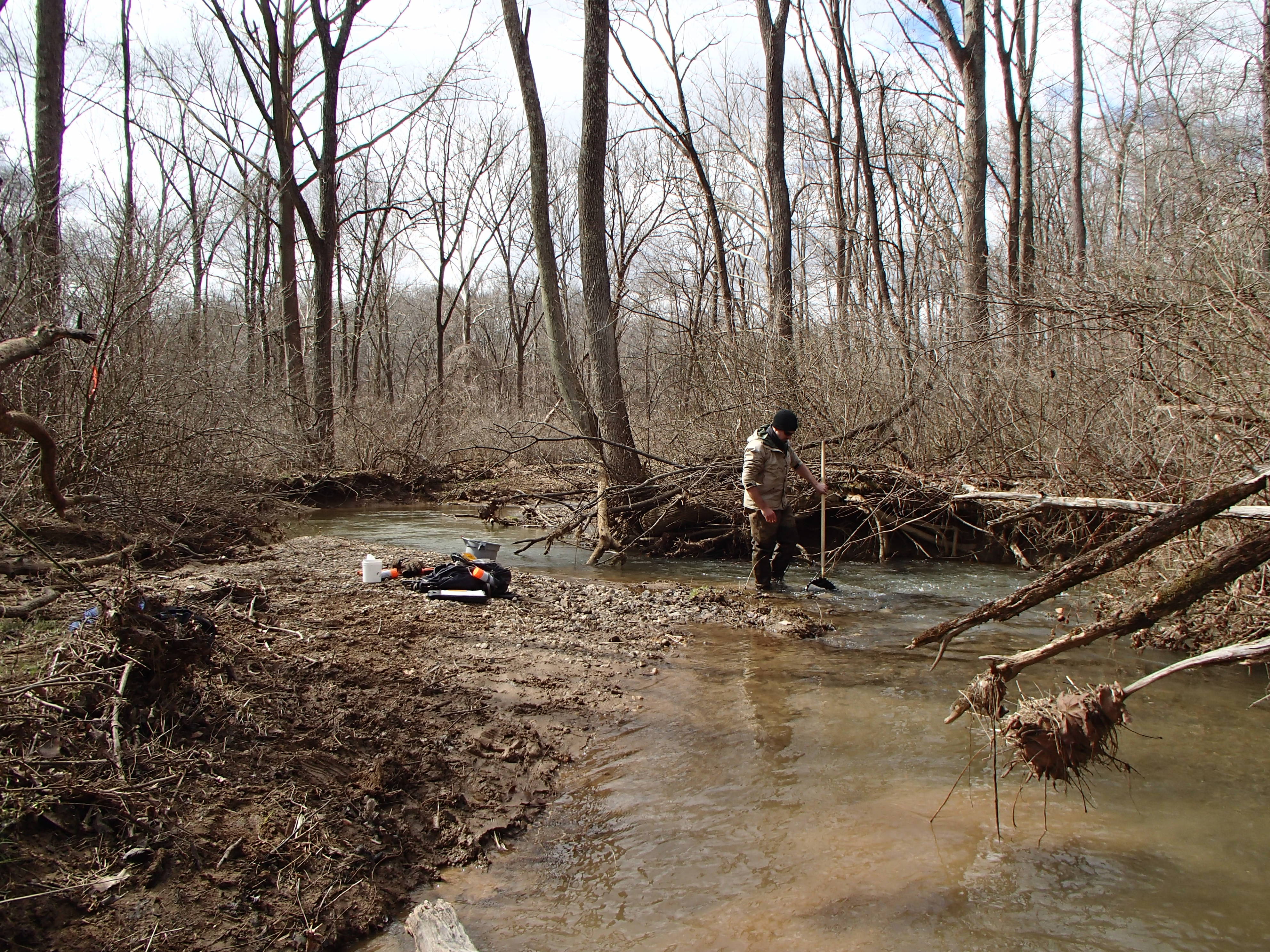 Field photo showing stream conditions at site DOUB-221-R-2016_midpoint looking downstream